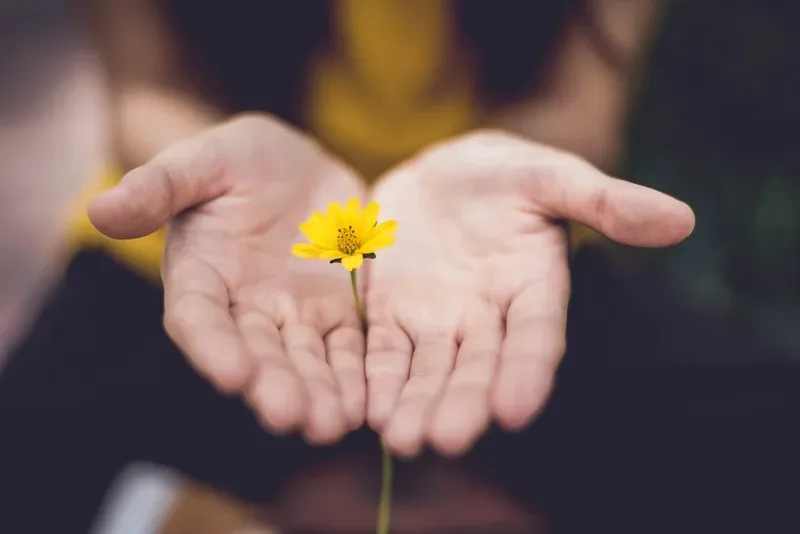 Stress Remedies for Recovery