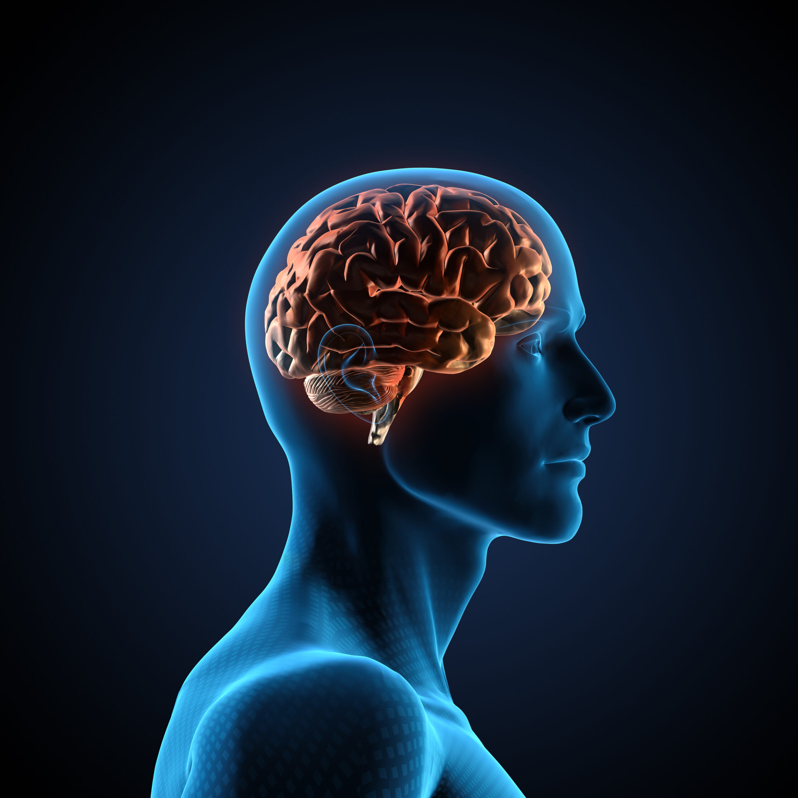 Healing the Brain in Addiction Recovery: The Key to Lasting Change